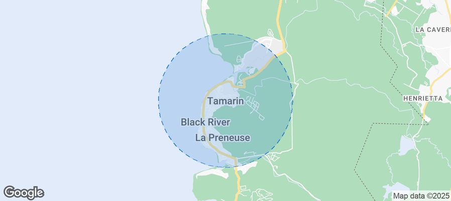 Discover Tamarin VCA Airbnb Analytics